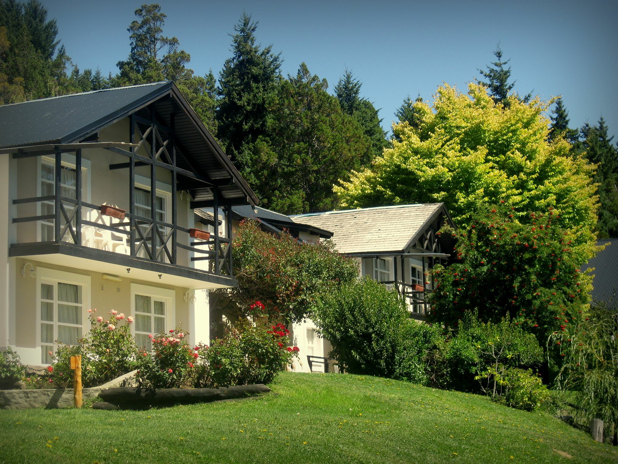 Hotel Aldea Andina Hotel&spa 3*